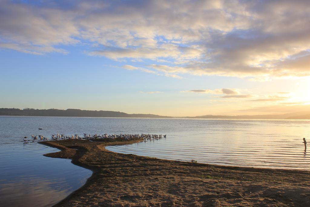 Lakeview Small Studio Rotorua Zewnętrze zdjęcie