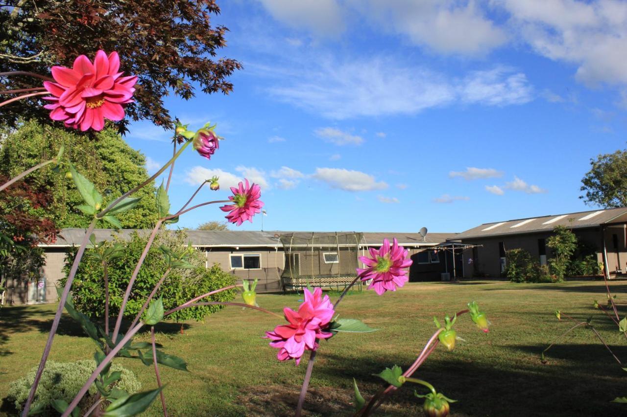 Lakeview Small Studio Rotorua Zewnętrze zdjęcie